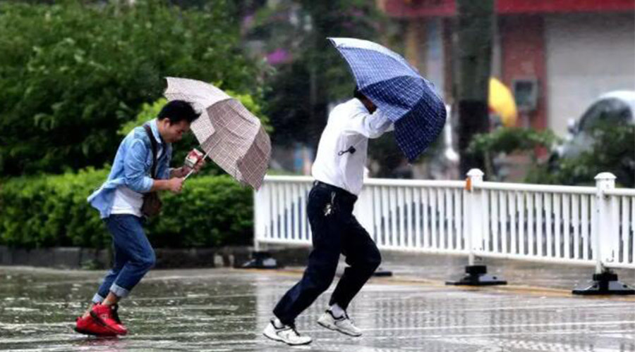9號臺風(fēng)“馬鞍”生成！金環(huán)電器提醒大家要注意的事項