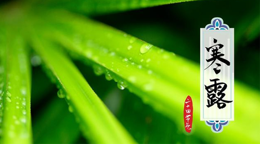 寒露時節(jié)到！金環(huán)電器提醒這些干衣事項要注意