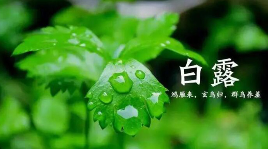 白露時節(jié)！金環(huán)電器提醒大家要注意的事項
