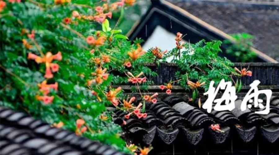 什么是梅雨？梅雨如何形成？  金環(huán)電器告訴你答案